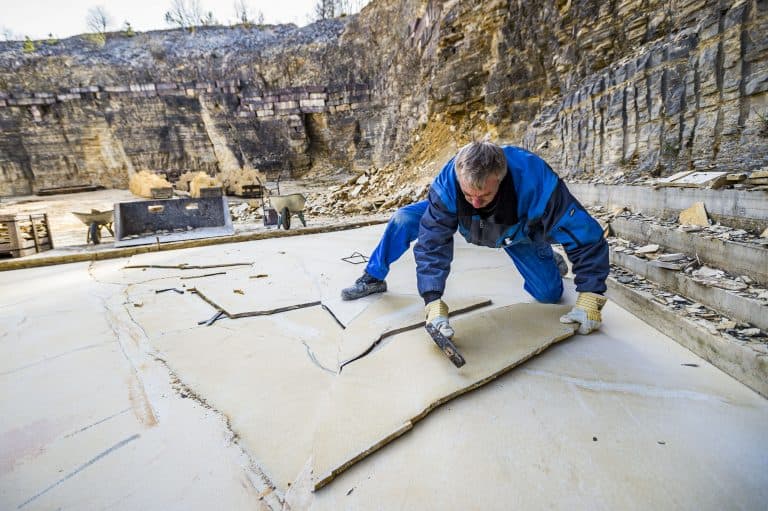 Solnhofener Kalkstein aestivate