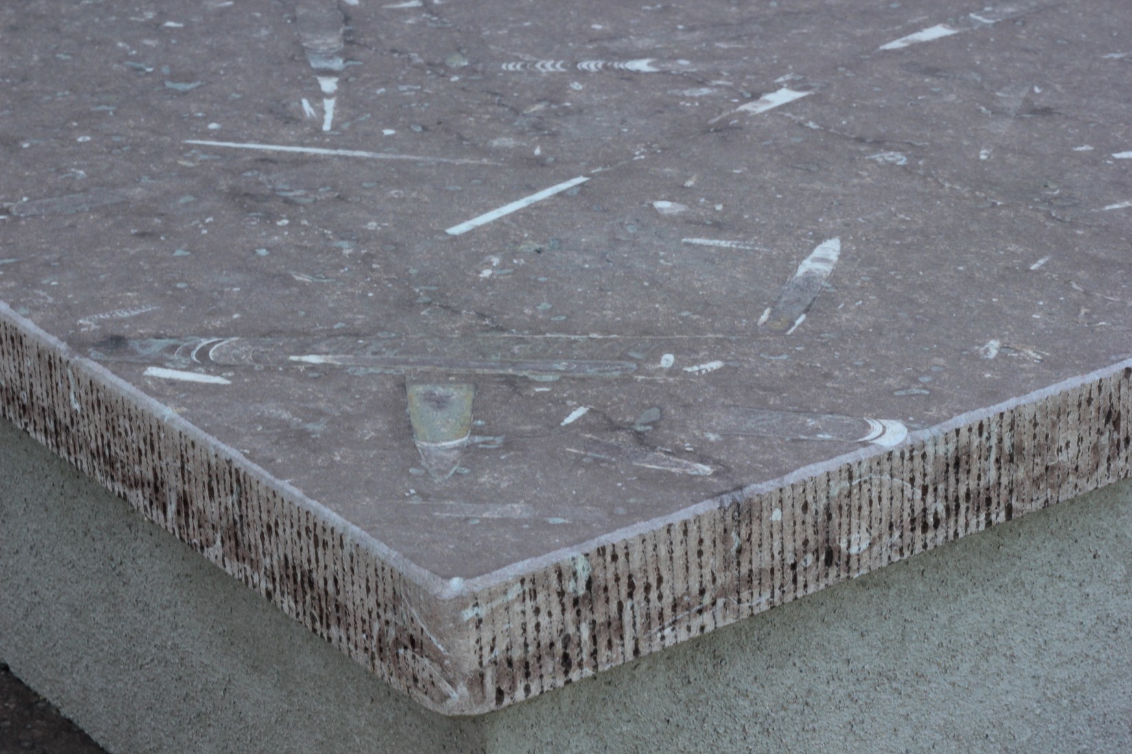 Kante Ölandplatte aestivate