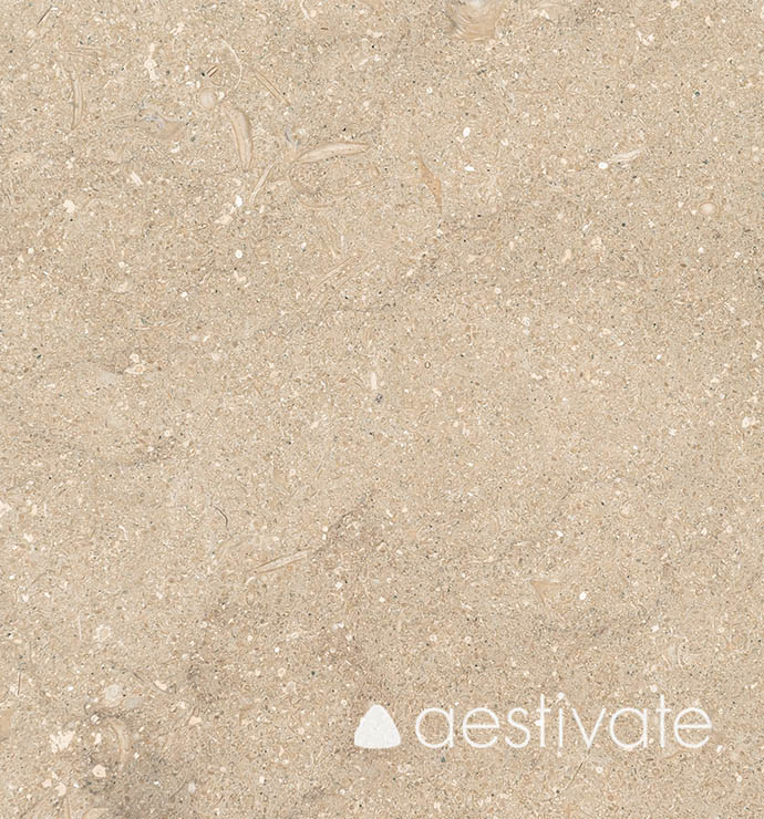 FL14215XXX_Kalksteinfliesen-Grey-Oliva-Grigio-Olivo-geschliffen_1-with-Logo-1.jpg | aestivate Kalksteinfliese aus Grey Oliva geschliffen aestivate