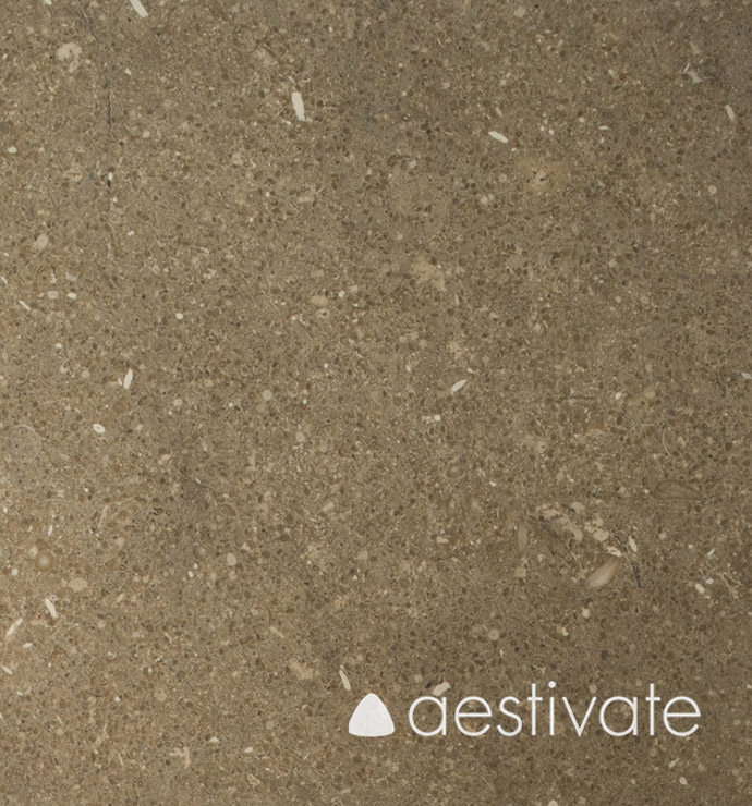 FL14218XXX_Kalksteinfliesen-Grey-Oliva-Grigio-Olivo-poliert-1.jpg | aestivate Grey Oliva Kalksteinfliese aestivate