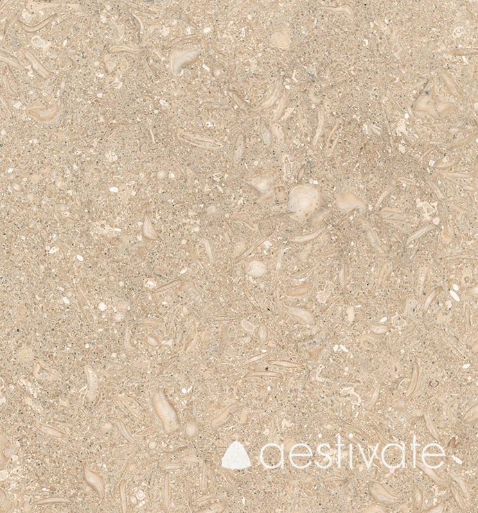 FL14256XXX_Kalksteinfliesen-Grey-Oliva-Grigio-Olivo-gebuerstet_2-with-logo-1.jpg | aestivate Kalksteinfliese Grey Oliva gebürstet aestivate