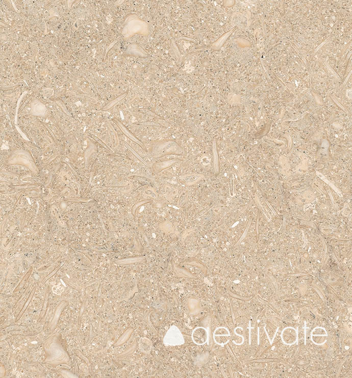 FL14256XXX_Kalksteinfliesen-Grey-Oliva-Grigio-Olivo-gebuerstet_4-with-logo-1.jpg | aestivate Kalksteinfliese Grey Oliva gebürstet aestivate