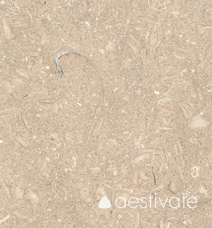 FL14256XXX_Kalksteinfliesen-Grey-Oliva-Grigio-Olivo-gebuerstet_5-with-logo-1.jpg | aestivate Kalksteinfliese Grey Oliva gebürstet aestivate