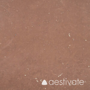 Öland Kalkstein Horns Udde rot B1 aestivate