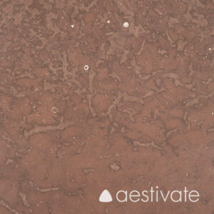 Öland Kalkstein Horns Udde rot B1 aestivate