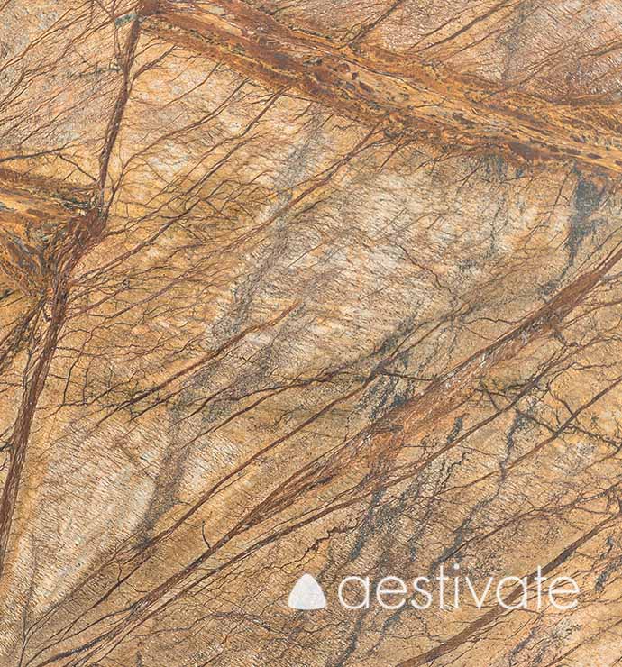 FL17625XXX_Marmorfliesen-Rainforest-Brown-satiniert_2-edited-1.jpg | aestivate Marmorfliese Rainforest Brown satiniert aestivate