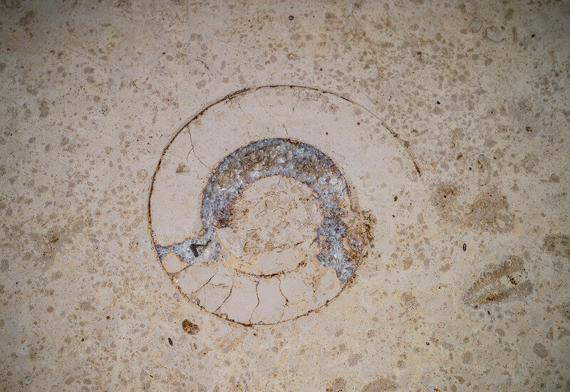 Fossil im Jura Kalkstein - aestivate | aestivate Fossil Jura Zeit aesivate