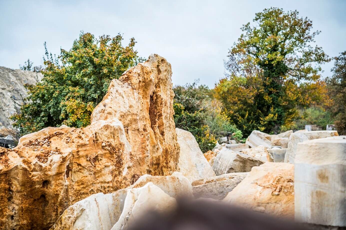 Kalksteinbruch bewachsen aestivate