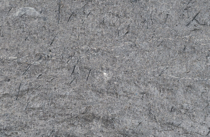 Otta Phyllit Oberfläche aestivate