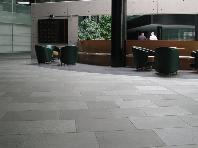 Kiruna Fliesen aestivate